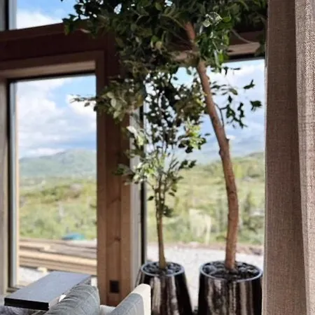 Mountain On Hogevarde With Majestic Views * Flå