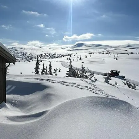 Fjellhytte Pa Hogevarde Med Majestetisk Utsikt Flå